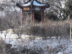 -北京西山国家森林公园