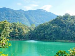 -广州市流溪河国家森林公园