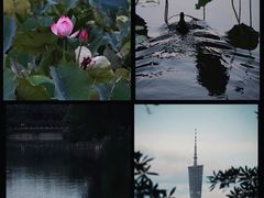 -东山湖公园