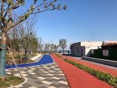 -南汇嘴观海公园