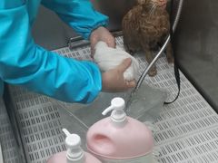 -总动员动物医院(宝丰院店)