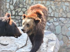 -云南野生动物园