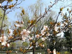 -上海市第一人民医院(松江南部)