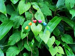 -藏龙百瀑风景区