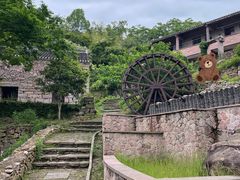 -蛇蟠岛