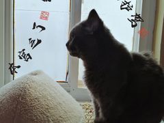 -Rabbit Cafe私房西餐甜点咖啡(栖霞路店)