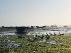 -兴旺渔家