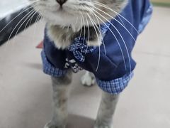 -潮双生·双生肠粉(牌坊街总店)