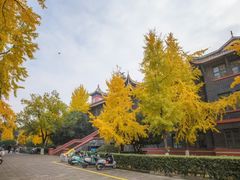 -四川大学(望江校区)