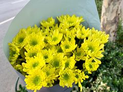 -沪花拾者(好再来花卉鲜花店)