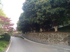 -上海市保健医疗中心(华东疗养院)