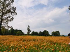 -良渚古城遗址公园