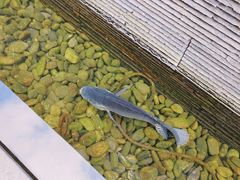 -明谷行馆·温泉