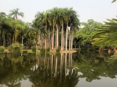-中国科学院西双版纳热带植物园