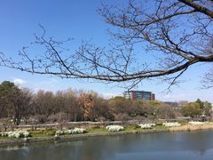 -名古屋城