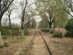 -永定河休闲森林公园