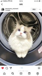 -MONICABOX美甲美睫