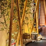 在独栋花园别墅吃日料是一种什么体验[嘘]？魔都仅此一家[嘿哈]！