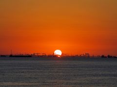 -上海吴淞炮台湾国家湿地公园