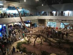 -自贡恐龙博物馆