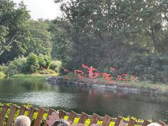 -广州长隆飞鸟乐园