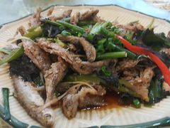 紫苏山坑鱼仔-开心农家菜