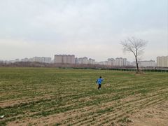 -汉长安城未央宫国家考古遗址公园