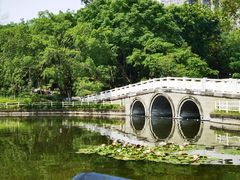 -塔子山公园