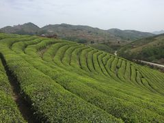 -四明山国家森林公园