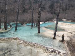 -黄龙山原始森林景区