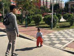 -横道河子东北虎林园