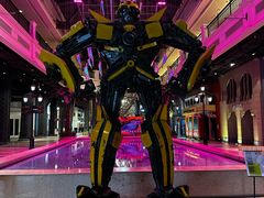 -香巴拉云南餐厅(华莱坞店)