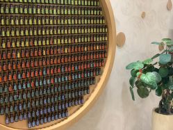 -dōTERRA多特瑞精油生活馆
