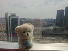 -上海金陵紫金山大酒店