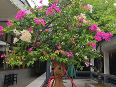 -粥旺庄(芳村店)