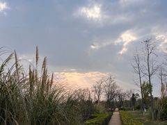 -呈贡滇池生态湿地公园