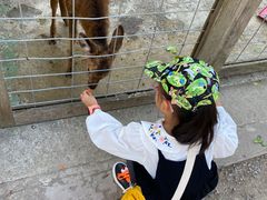 -前小桔亲子创意农场·草莓采摘·露营烧烤