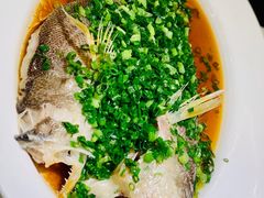 -许家菜(望江店)