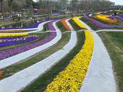 -南通洲际绿博园