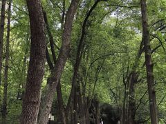 -忠山公园