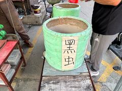 -中环花鸟鱼虫市场