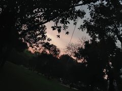 -晓港公园