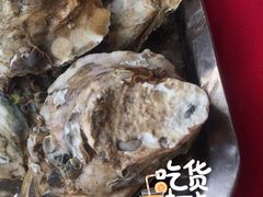 -蚝专家(北滘店)