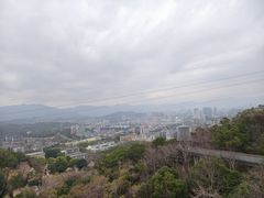 -福道