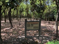 -嘉北郊野公园