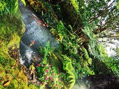 -Chom Cafe and Restaurant