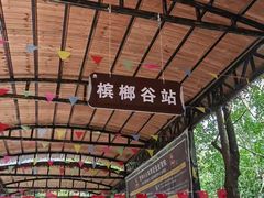 -海南槟榔谷黎苗文化旅游区