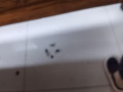 -阊门姚记豆浆(旧学前直营店)