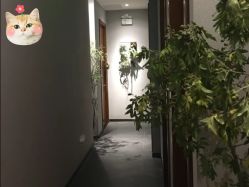 点击看大图 -芳香乐府SPA·五行芳疗
