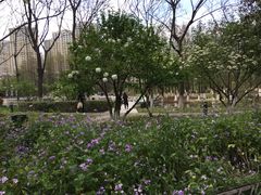 -白塘生态植物园